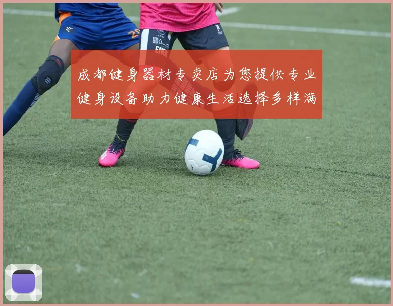 成都健身器材专卖店为您提供专业健身设备助力健康生活选择多样满足不同需求